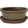Ceramic Bonsai Pot/Saucer - Mustard Oval - 6 1/8" X 4 1/2" X 2" With Felt Feet