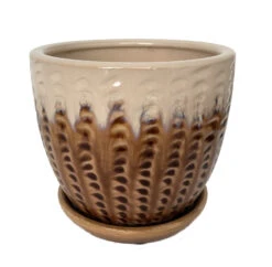 Pompeii Ceramic Planter With Attached Saucer - Latte - 6" X 5.5"