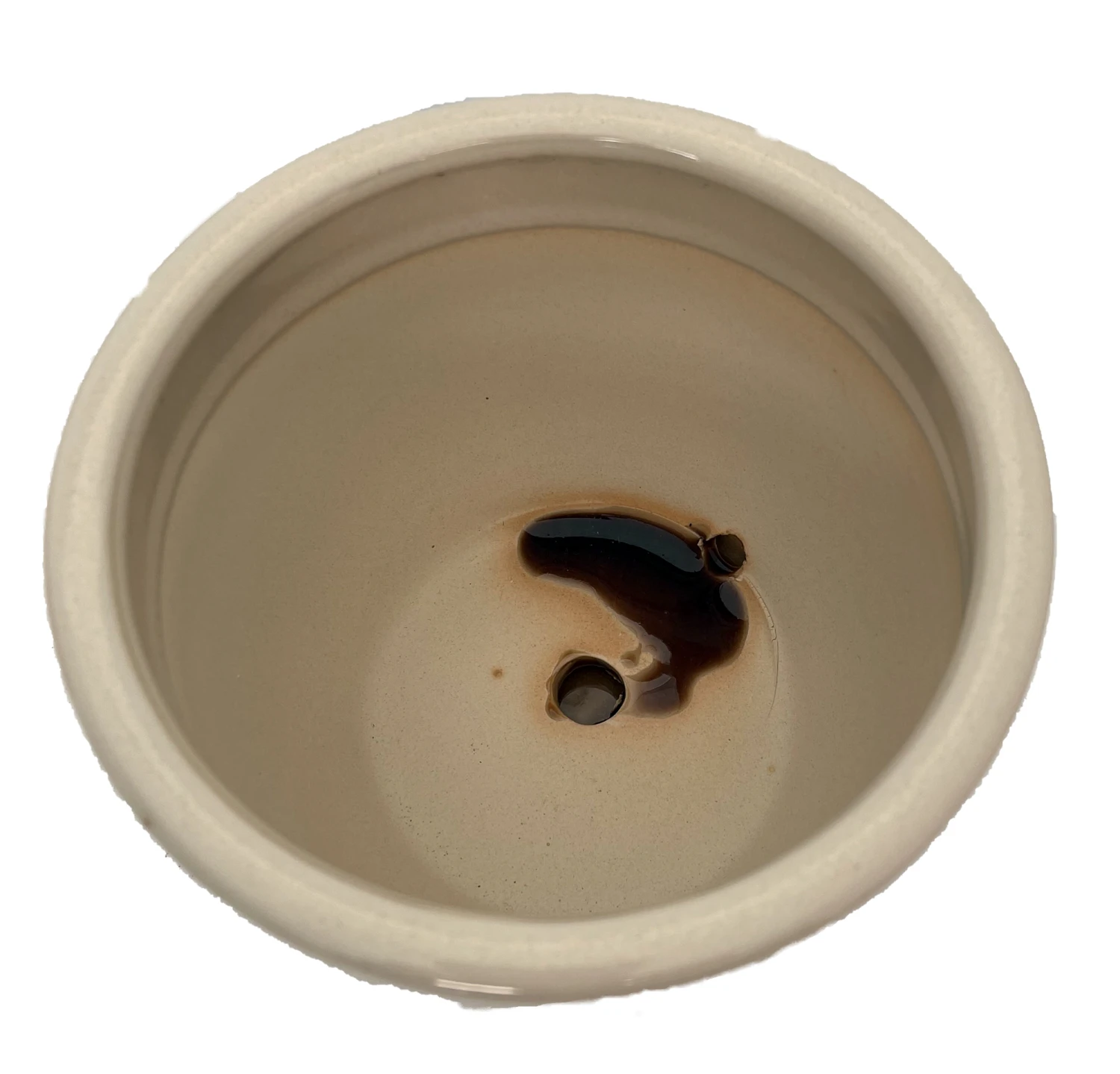 Pompeii Ceramic Planter With Attached Saucer - Latte - 6" X 5.5" - Image 2