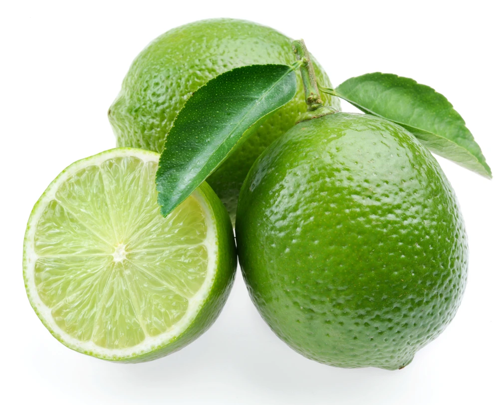 Persian Lime Tree - Fruit Bearing Size -6" Pot-NO SHIP To TX, FL, AZ, CA, LA, HI - Image 2
