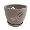 Dragonfly Matte Gray Ceramic Orchid Pot And Saucer + Felt Feet-5 1/2" X 5 1/4"