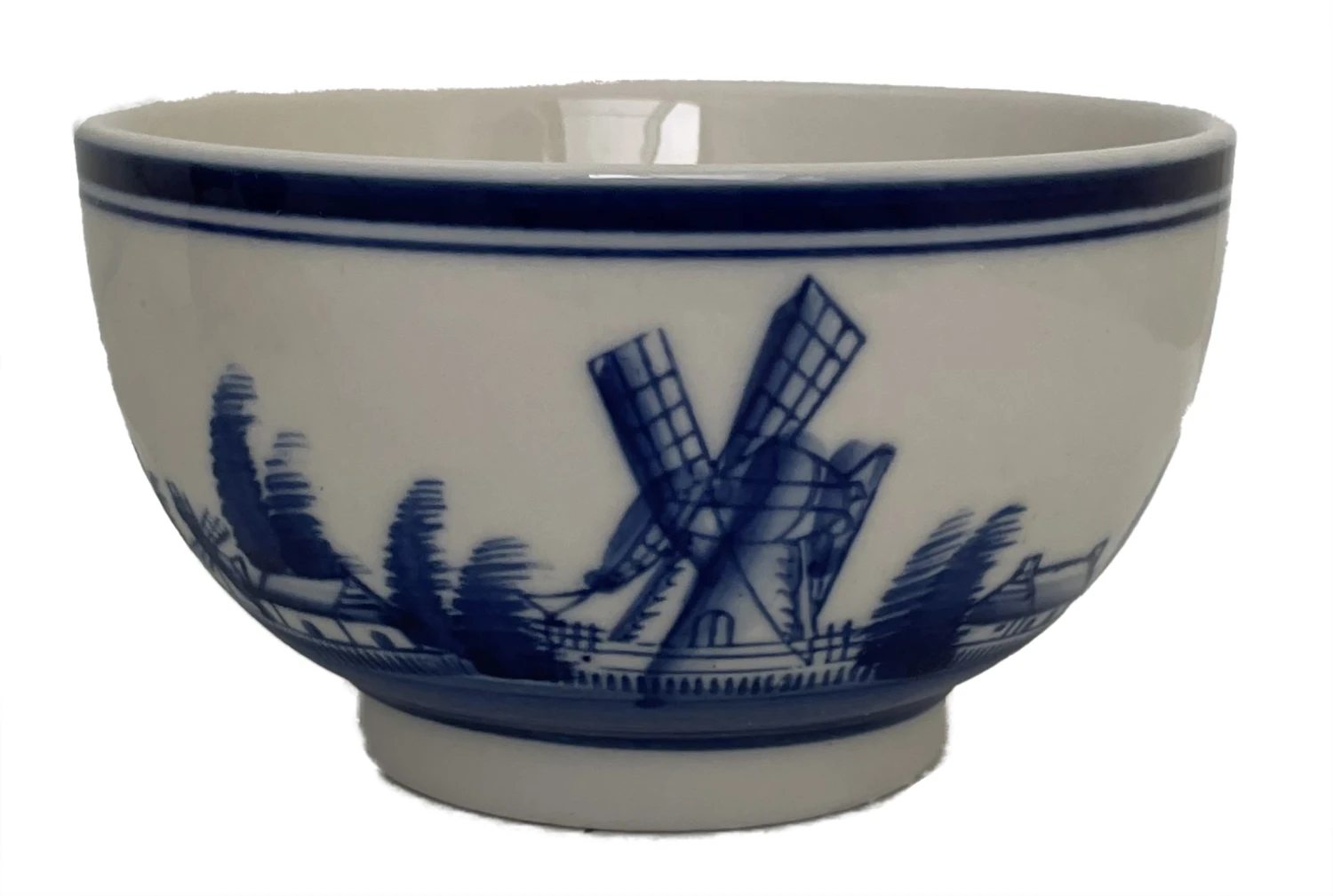 Delft Ceramic Bowl With Paperwhite Narcissus Bulbs Indoor Growing Kit - FragrantT - Image 7