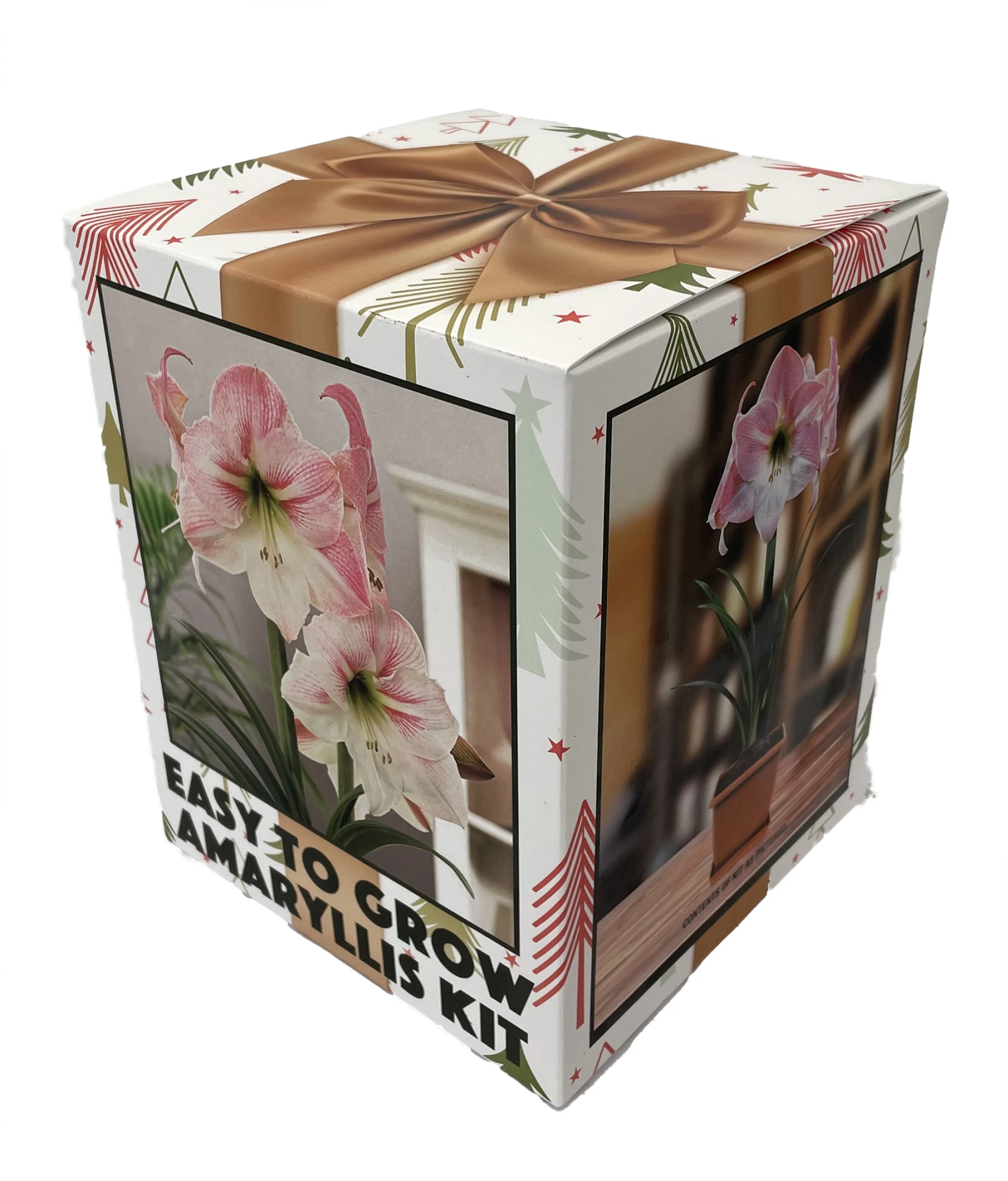 Amaryllis Kit: Apple Blossom + Plastic Pot & Soil - 26/28 Cm Bulb - Netherland