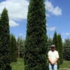 FULL SPEED A HEDGE® THIN MAN® Arborvitae - 4" Pot - Thuja Occidentalis