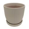 Chatham Egg Pot With Attached Saucer - Sandy Matte White - 5.5" X 5"