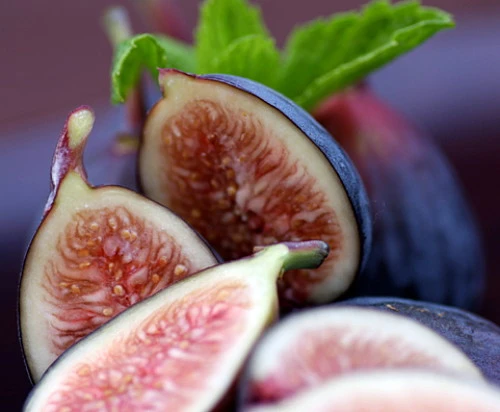 Brown Turkey Edible Fig Plant - Ficus Carica - Sweet - 6" Pot - Image 2