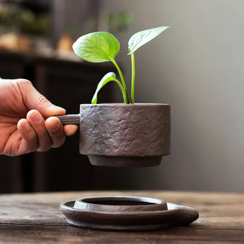 Creative Ceramic Planter With Saucer & Live Peperomia Plant - Image 4