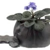 Creative Lotus Leaf Ceramic Planter With Live Miniature African Violet