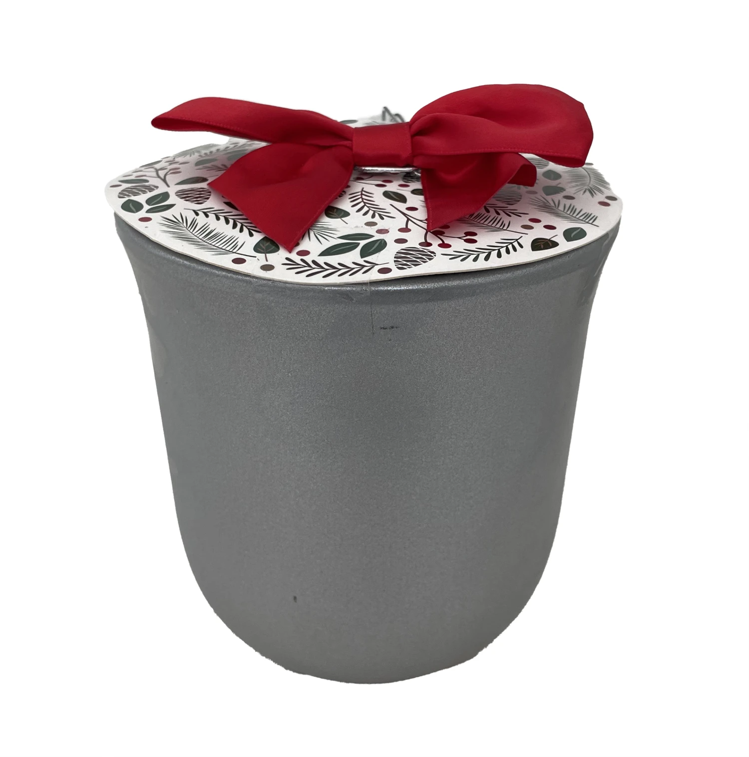 Red Lion Silver Ceramic Amaryllis Kit - Bulb/Ceramic Vase/Planting Medium - Image 2